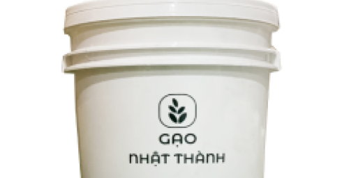 qdbrq34h-671-gao-nhat-thanh