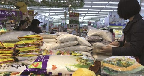 Rice News Today