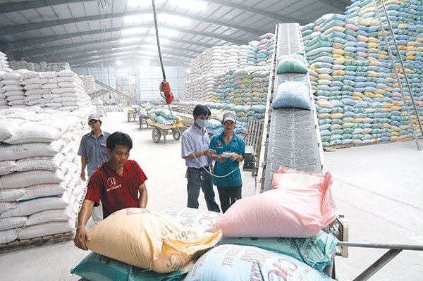 Rice News Today