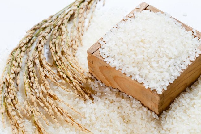 Rice News Today