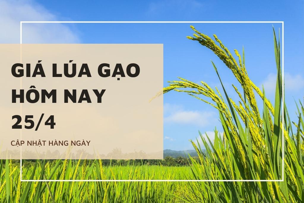 Giá lúa gạo hôm nay 25/4: Lặng sóng ở các mặt hàng