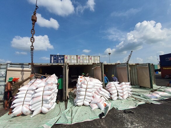 Giá lúa gạo hôm nay 28/5: Giá gạo xuất khẩu tăng Giá lúa gạo hôm nay 28/5: Giá gạo xuất khẩu tăng