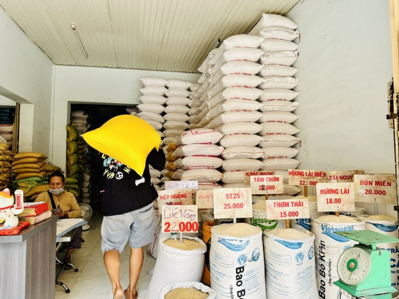 Giá lúa gạo hôm nay ngày 4/8/2023: Lúa Hè thu tiếp tục biến động mạnh