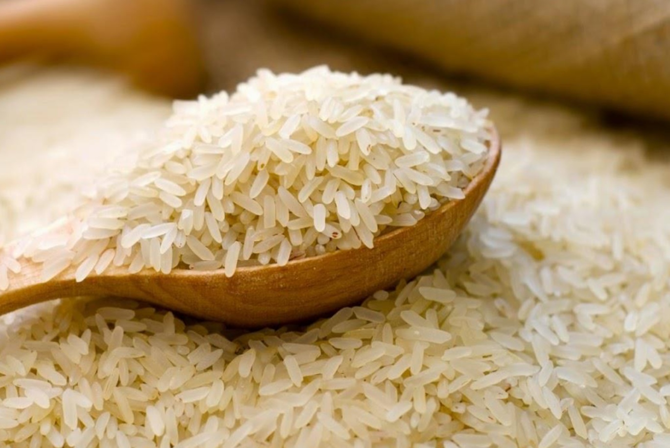 Giá lúa gạo hôm nay ngày 3/8/2023: Giá lúa Hè thu tăng 200 đồng/kg Giá lúa gạo hôm nay ngày 3/8/2023: Giá lúa Hè thu tăng 200 đồng/kg