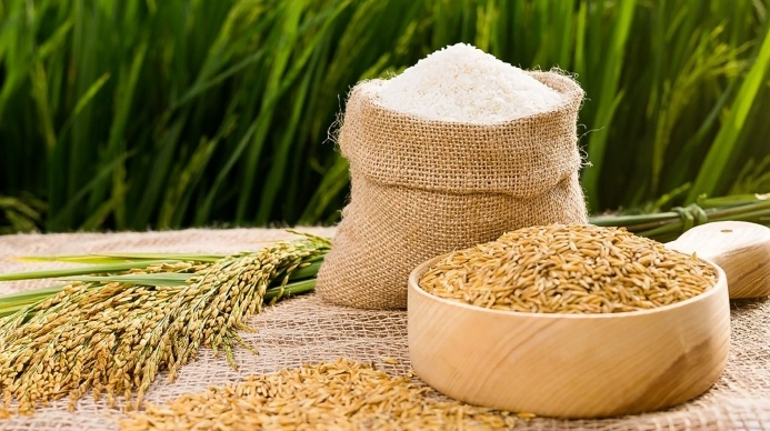 Giá lúa gạo hôm nay 19/11/2023 Tiếp đà đi ngang. Ảnh minh họa.