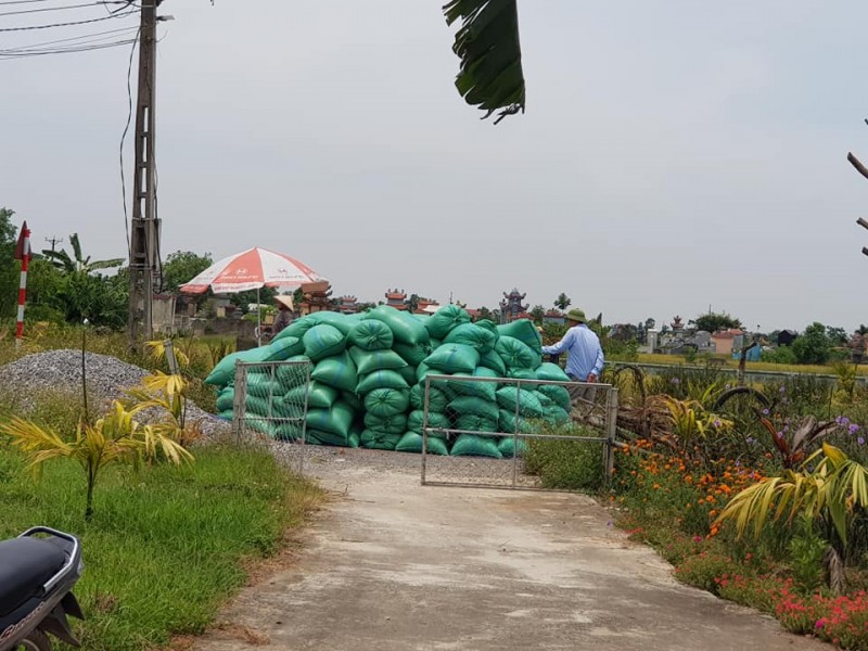 Giá lúa gạo hôm nay ngày 1/2: Giá gạo tăng 200 – 500 đồng/kg, nhiều kho mua hàng giao ra miền Bắc Giá lúa gạo hôm nay ngày 1/2: Giá gạo tăng 200 – 500 đồng/kg, nhiều kho mua hàng giao ra miền Bắc